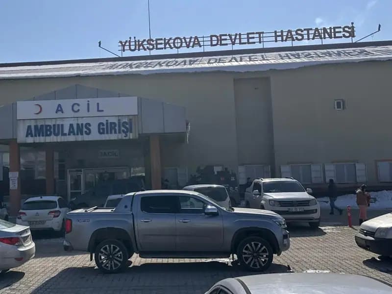 Başıboş Köpeklerin Saldırısıyla Ölen Çocuk Olayında Müfettiş Görevlendirildi