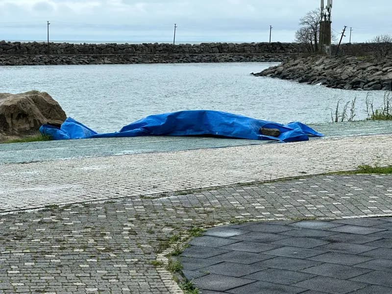 Ordu'da Sahile Vuran İnsansız Araç Ekiplerce İnceleniyor