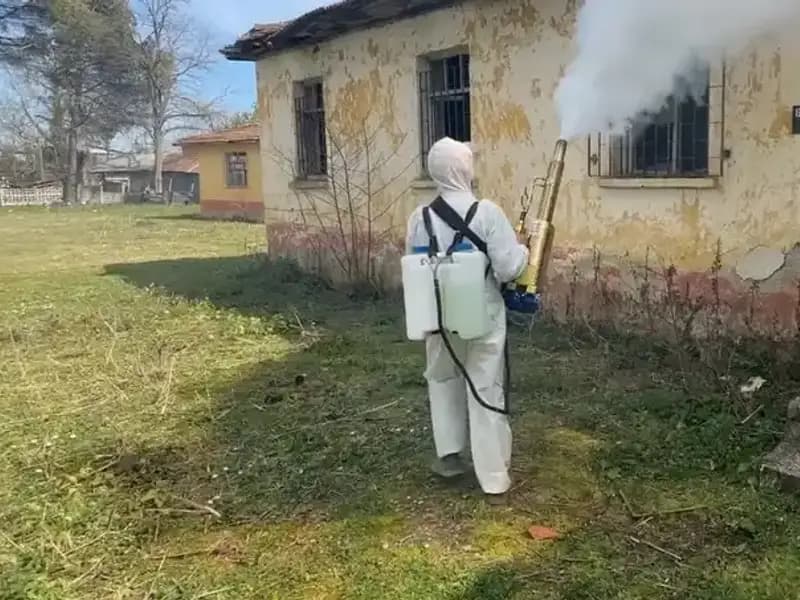 Çiftçiler Kahverengi Kokarca İle Mücadelede Yeni Yöntemler Geliştiriyor