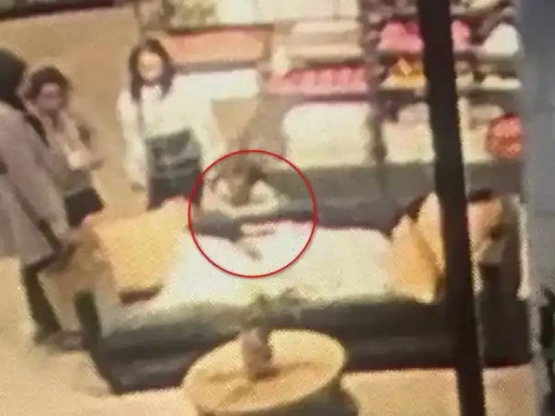 3 Yaşındaki Çocuğun AVM'de Yaşadığı Şok Edici Köpek Saldırısı