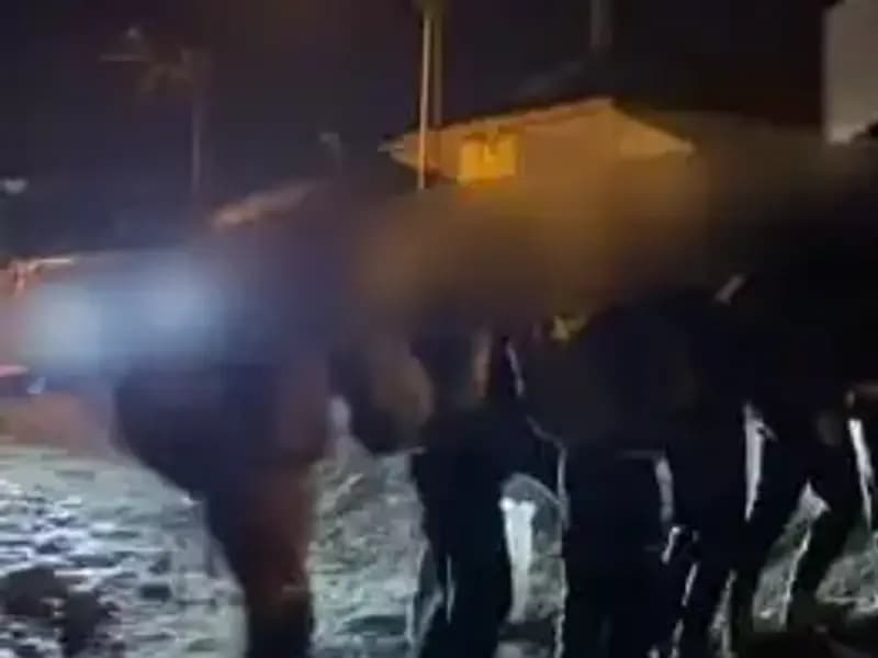 Van'da Göçmen Kaçakçılığına Dev Operasyon: 14 Gözaltı!