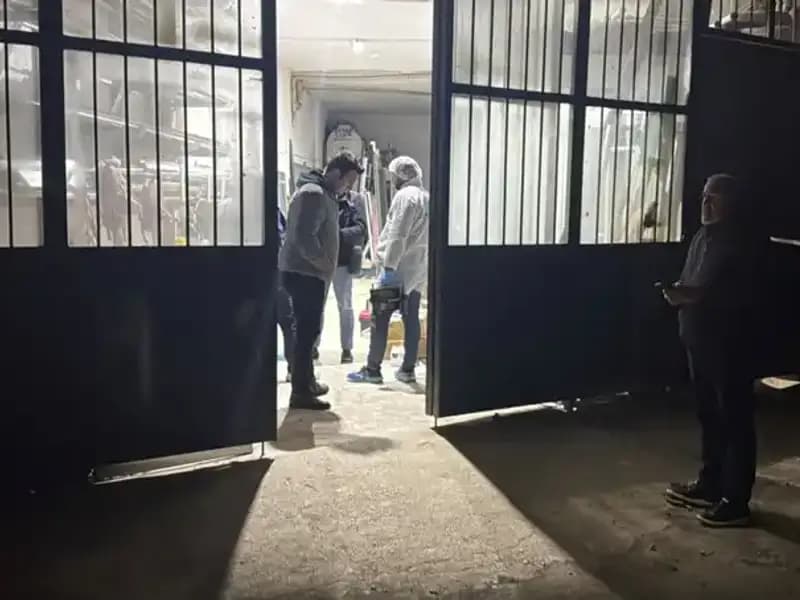 İş Yerinde Korkunç Cinayet: Battaniye Altındaki Gerçek Ne?