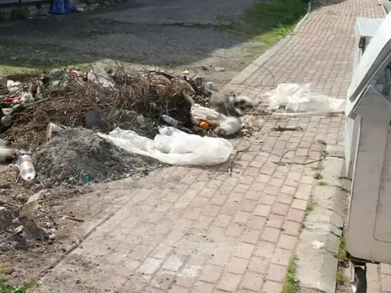 Antalya'da Kedi Katliamı: Onlarca Hayvanın Ölümüyle İlgili Soruşturma Başlatıldı