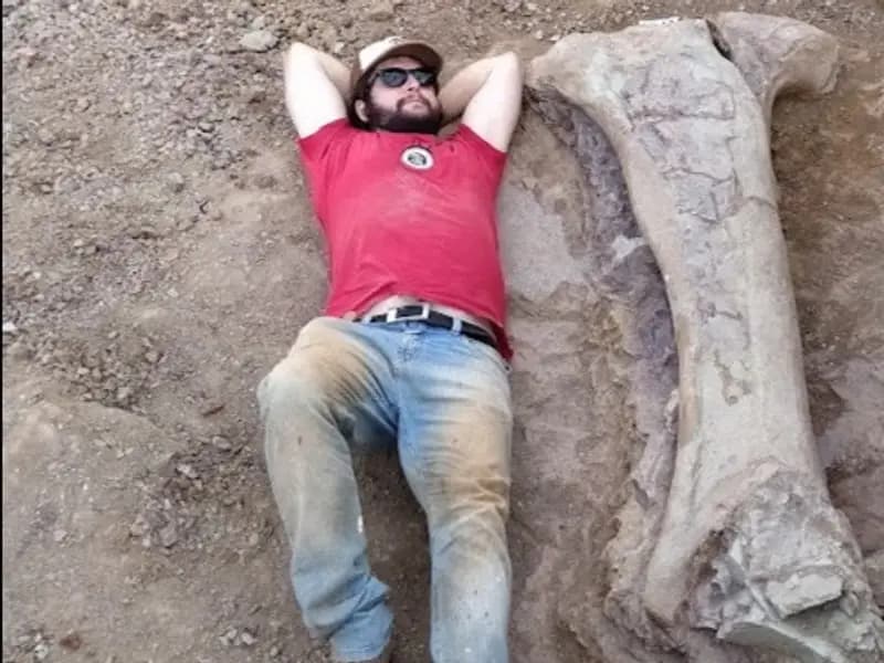 Brezilya'da İnsan Boyutunda Kemik Bulunan Yeni Dev Dinozor Türü