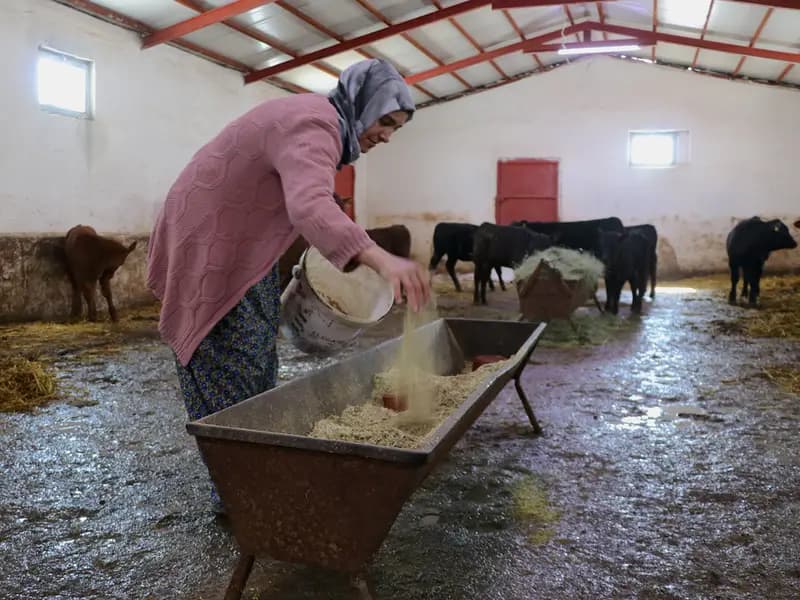 Van'da Kadın Çiftçi 5 Ayda Hayvan Sayısını İkiye Katladı