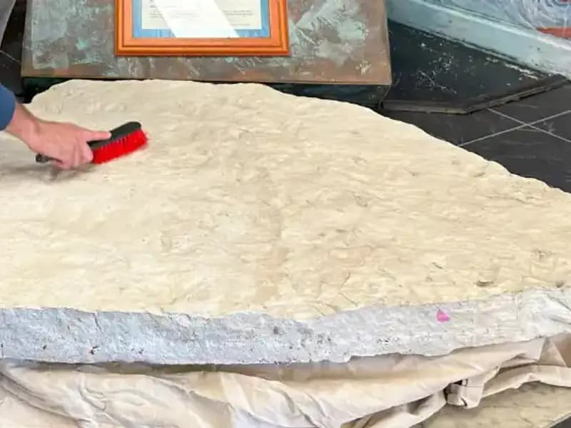 Okul Bahçesinde Eşsiz Bir Keşif: 200 Milyon Yıllık Dinozor Ayak İzleri Bulundu