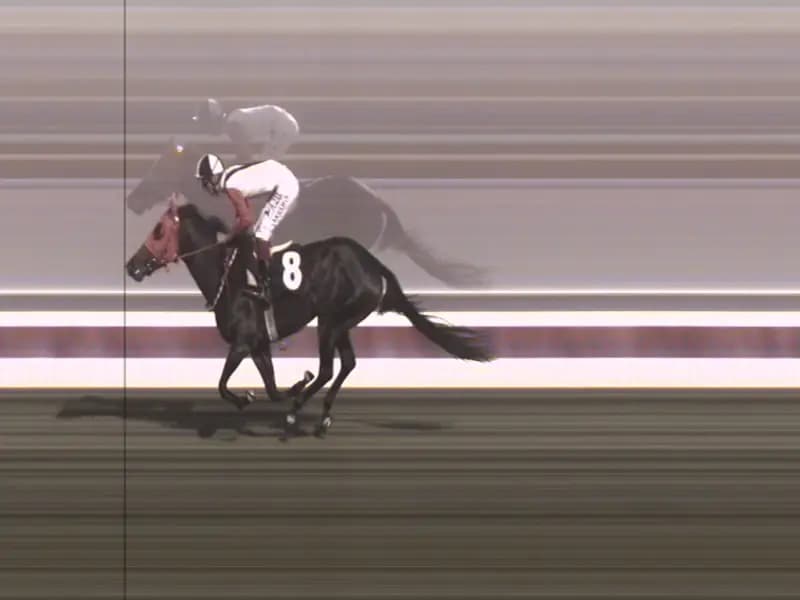 Mersin'de Kavurmada Çıkan At Eti, Yarış Atına Ait Çıktı